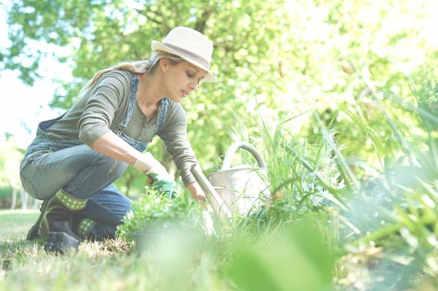 cultiver son terrain